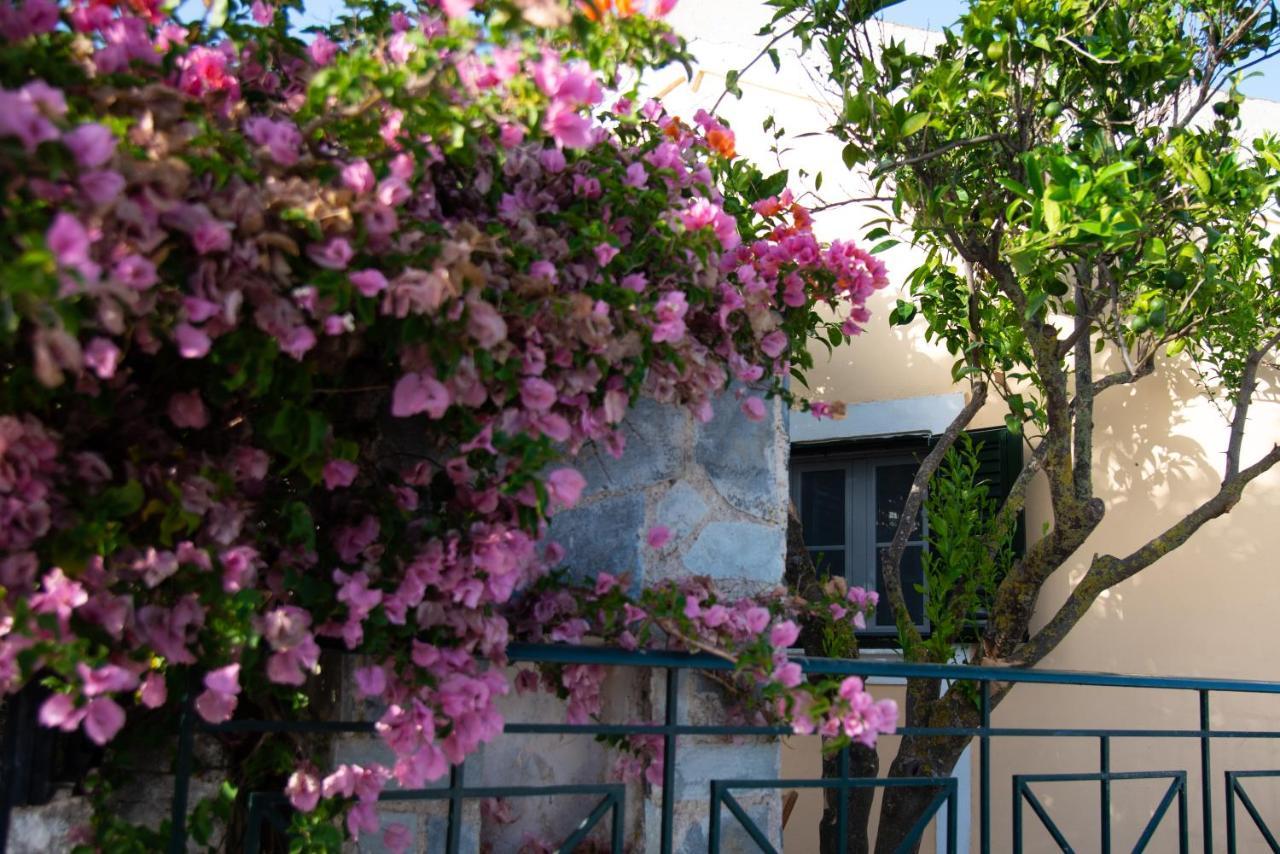 Rena'S Panorama View House Guest House Vovikes Exterior photo